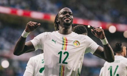 BLESSURE DE CHÉRIF NDIAYE - Plus de peur que de mal