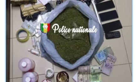 ZAC MBAO - 2,57 kg de kush saisis et 2,2 millions récupérés par l’OCRTIS