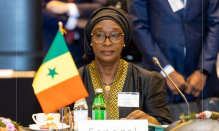 COUP DE GUEULE - Extradition : quand Yassine Fall brouille les lignes