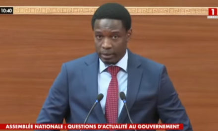 VOTE DU BUDGET DU MINISTERE DE LA COMMUNICATION - Des députés plaident la cause de la presse