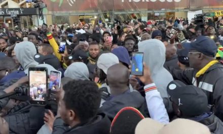 CAN 2025 - Les Lions débarquent à Rabat dans une ambiance chaotique