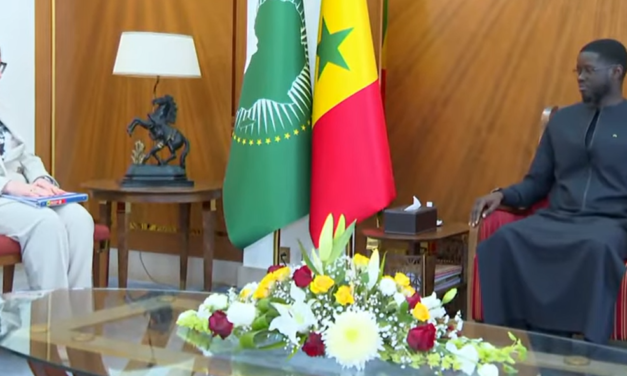 COOPÉRATION ÉCONOMIQUE - Diomaye Faye reçoit la nouvelle cheffe de mission du FMI