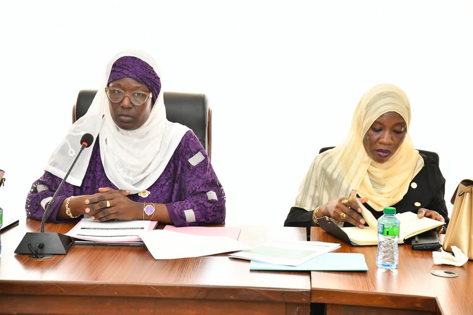 COMMERCIALISATION DES PRODUITS SOFTCARE - La mission parlementaire entame les auditions