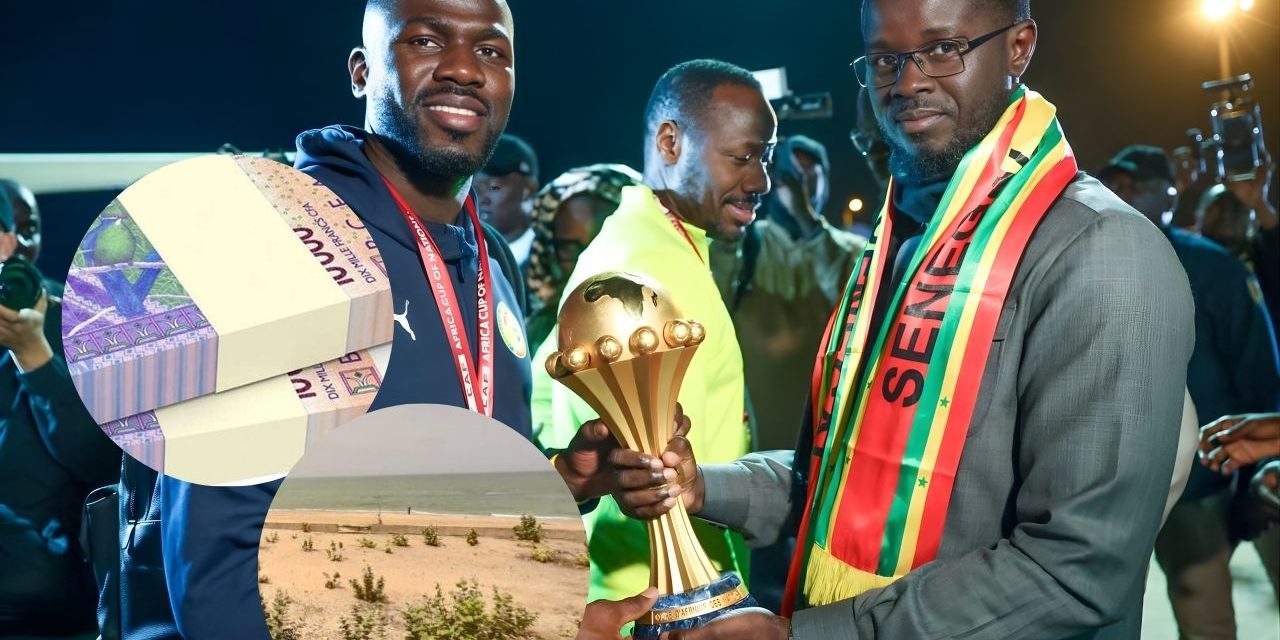 REÇUS AU PALAIS - Les Lions en sortent avec un beau butin