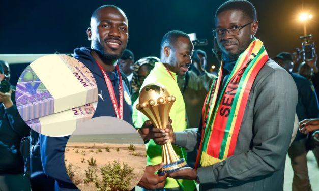REÇUS AU PALAIS - Les Lions en sortent avec un beau butin