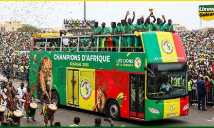 ACCUEIL DES LIONS À L’AIBD - Le tapis rouge déroulé aux champions d’Afrique