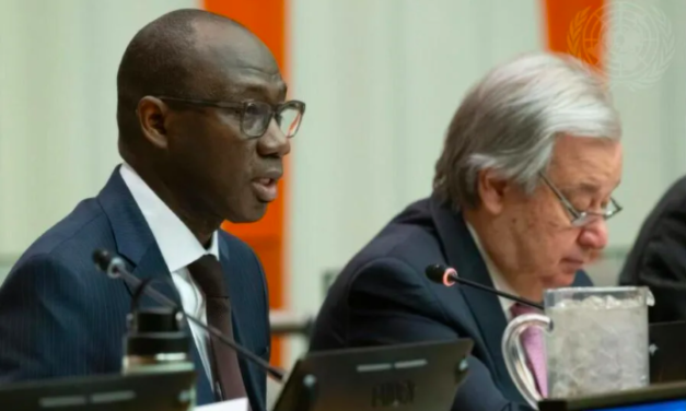 ONU - Le Sénégal reconduit à la présidence du Comité pour les droits inaliénables du peuple palestinien