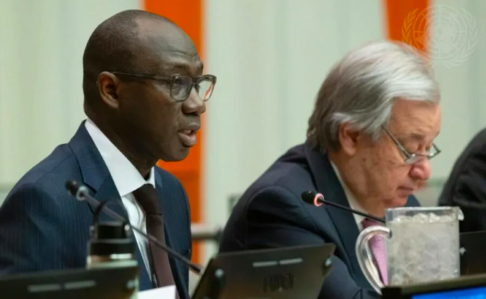 ONU - Le Sénégal reconduit à la présidence du Comité pour les droits inaliénables du peuple palestinien