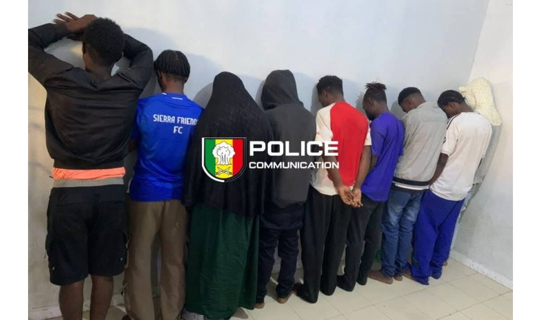 MALIKA - Un réseau de trafic de stupéfiants et de psychotropes démantelé