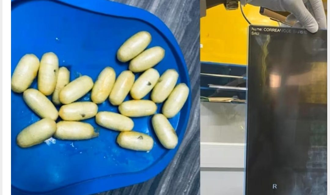 AIBD - 29 kg de drogue saisis sur une mule française