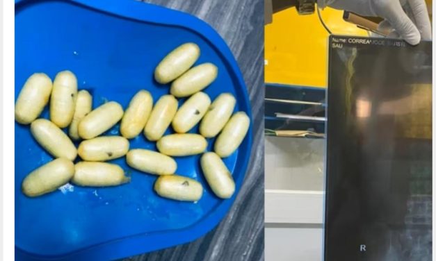 AIBD - 29 kg de drogue saisis sur une mule française