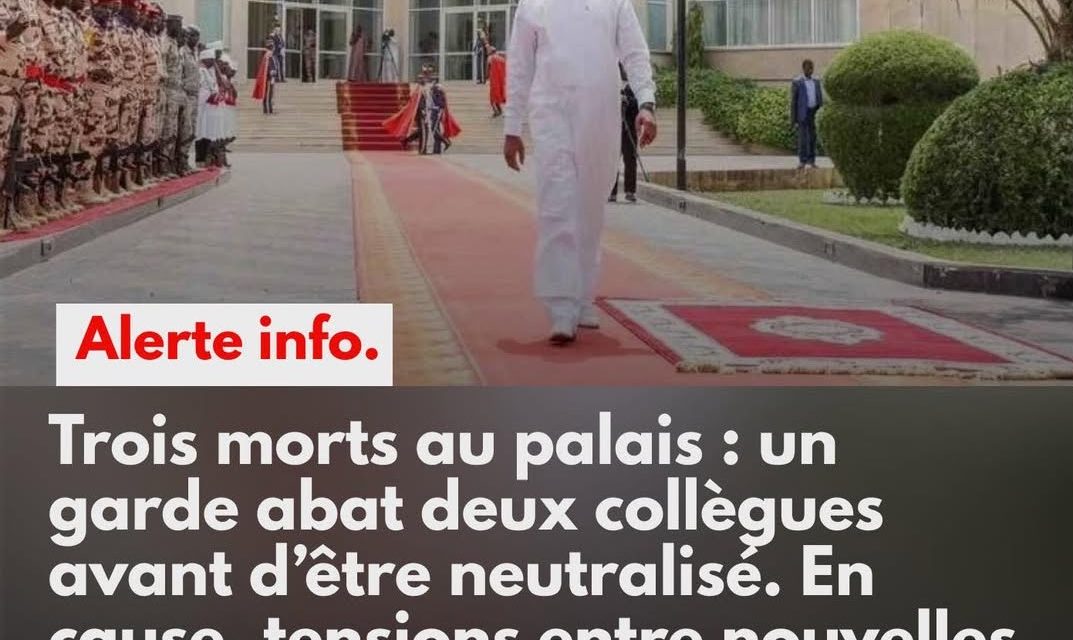 TCHAD : trois morts dans une fusillade au palais présidentiel
