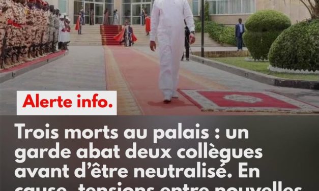 TCHAD : trois morts dans une fusillade au palais présidentiel