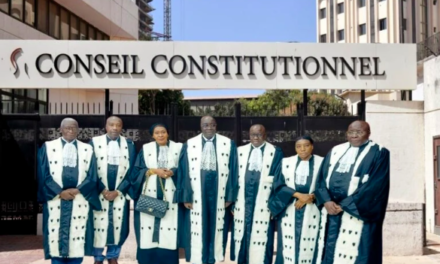 MEDIAS - Le Conseil constitutionnel censure certaines dispositions de la loi sur le CNRM