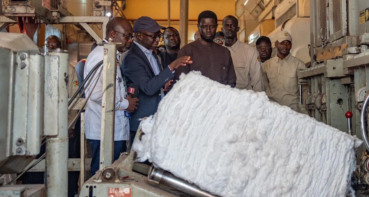 TOURNÉE ÉCONOMIQUE DANS LE SUD - Le Président de la République mise sur la filière coton à Kolda