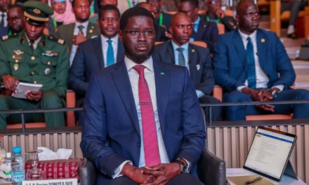 SÉCURITÉ ET GÉOPOLITIQUE-  L'appel du Président, Bassirou Diomaye Faye