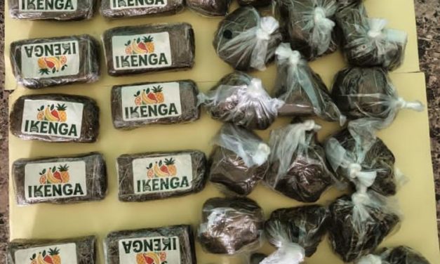 TRAFIC DE DROGUE À KARANG - 3,5 kg de haschich d'une contre-valeur de 17, 5 millions de FCfa saisis par les Douanes
