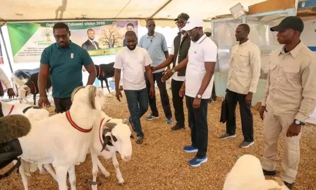 LIBÉRATION DES 18 SUPPORTERS SÉNÉGALAIS - Diomaye Faye offre 2 millions et un mouton à chacun