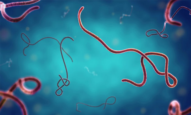 RÉSURGENCE DU VIRUS EBOLA - L’OMS déclare l'état d'urgence internationale en RDC et en Ouganda