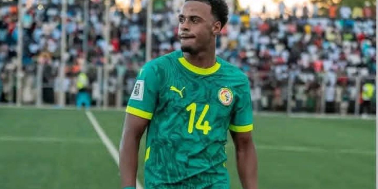 MONDIAL 2026 - Ilay Camara, encore malheureux avec les Lions