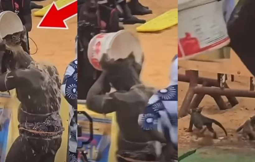 UTILISATION DE CHATONS LORS DU COMBAT REUG REUG–BOY NIANG 2 : la Direction des parcs nationaux condamne et brandit la menace de sanctions